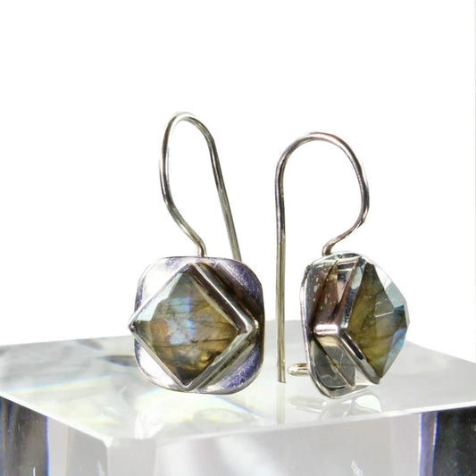 Labradorite Sparkle Hook Earrings